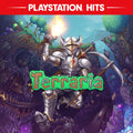 TERRARIA → PS4/PS5