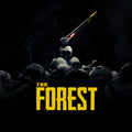 THE FOREST → PS4/PS5